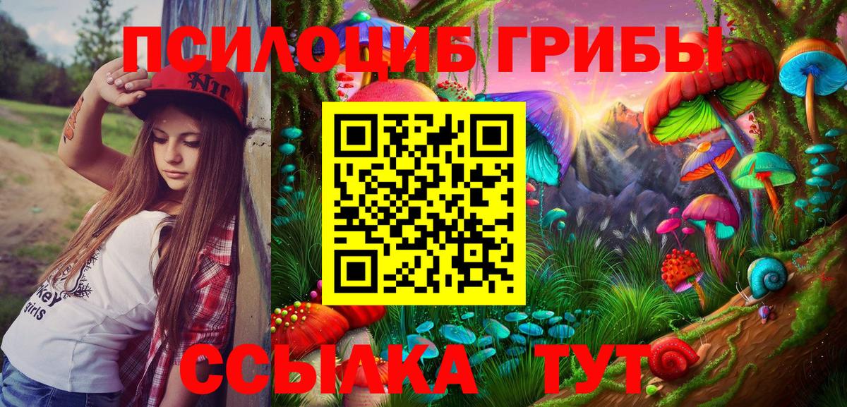Галлюциногенные грибы Magic Shrooms Железногорск